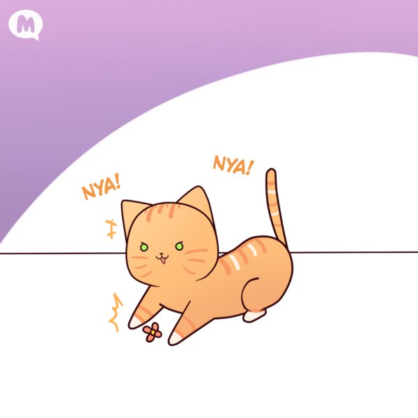 Sura and Cat