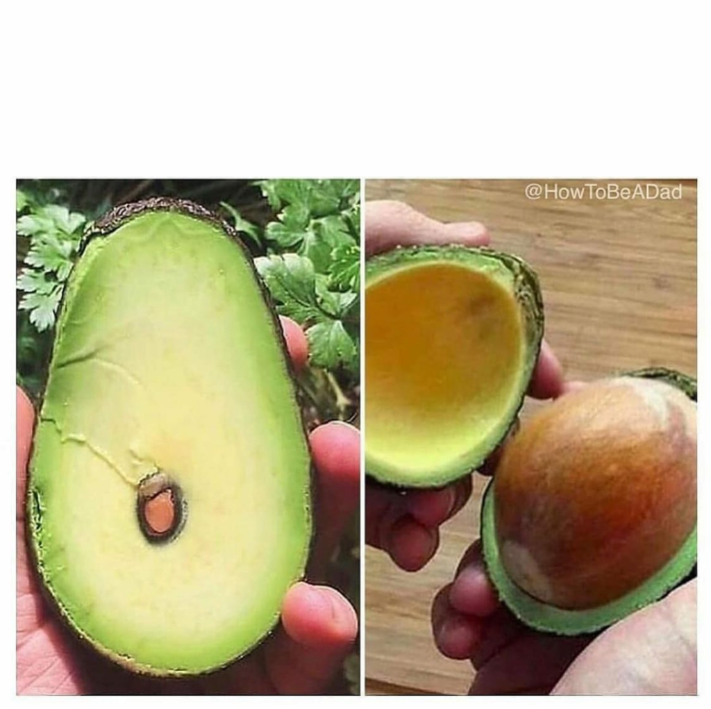 Avocado