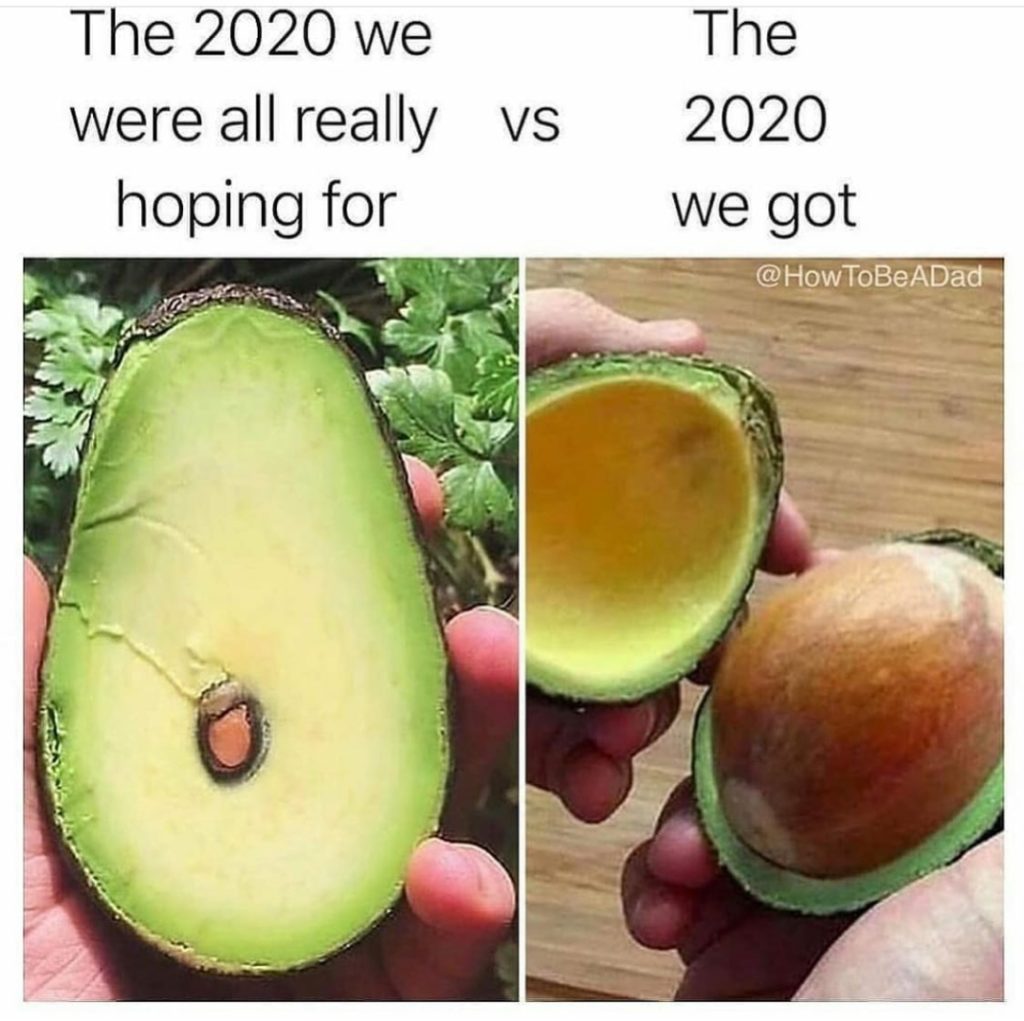 Avocado MM